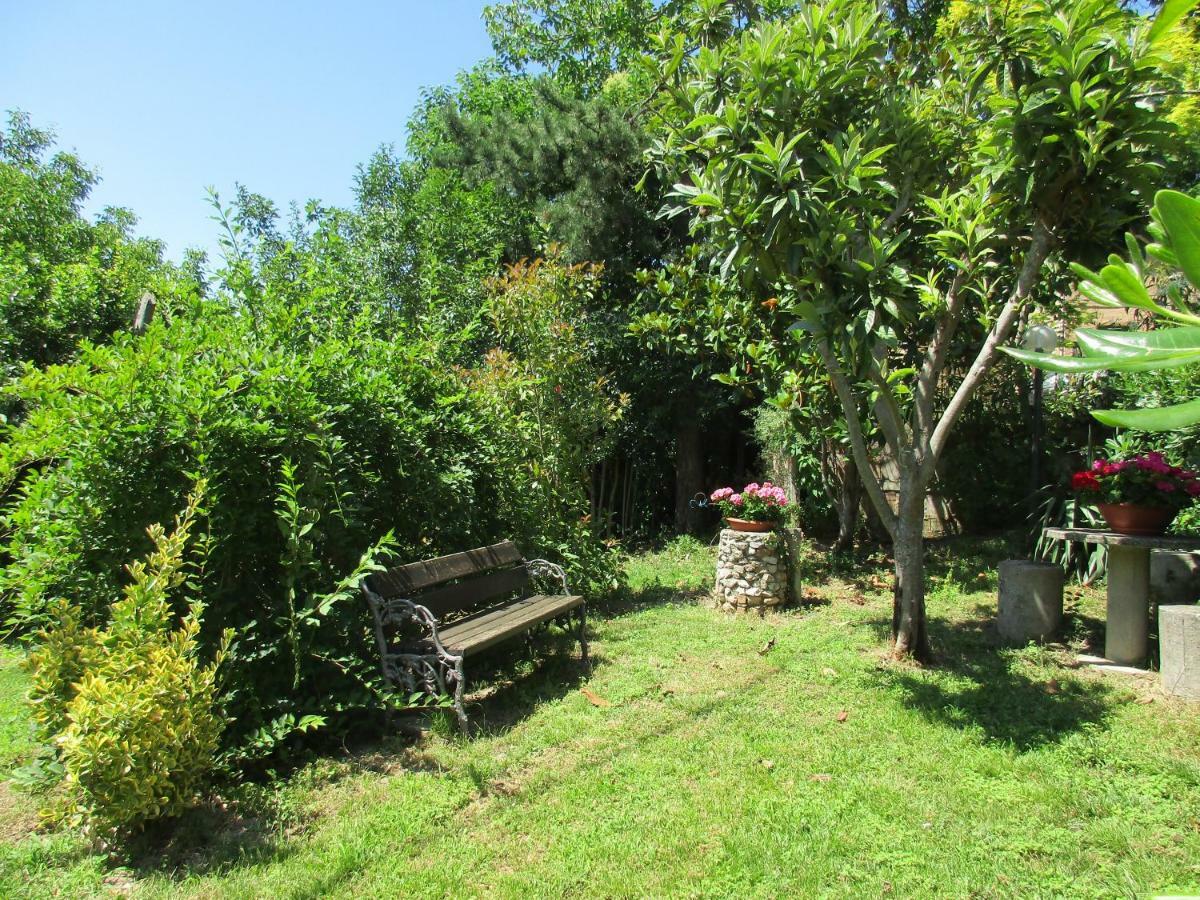 B&B Carboni Penna San Giovanni Exterior foto