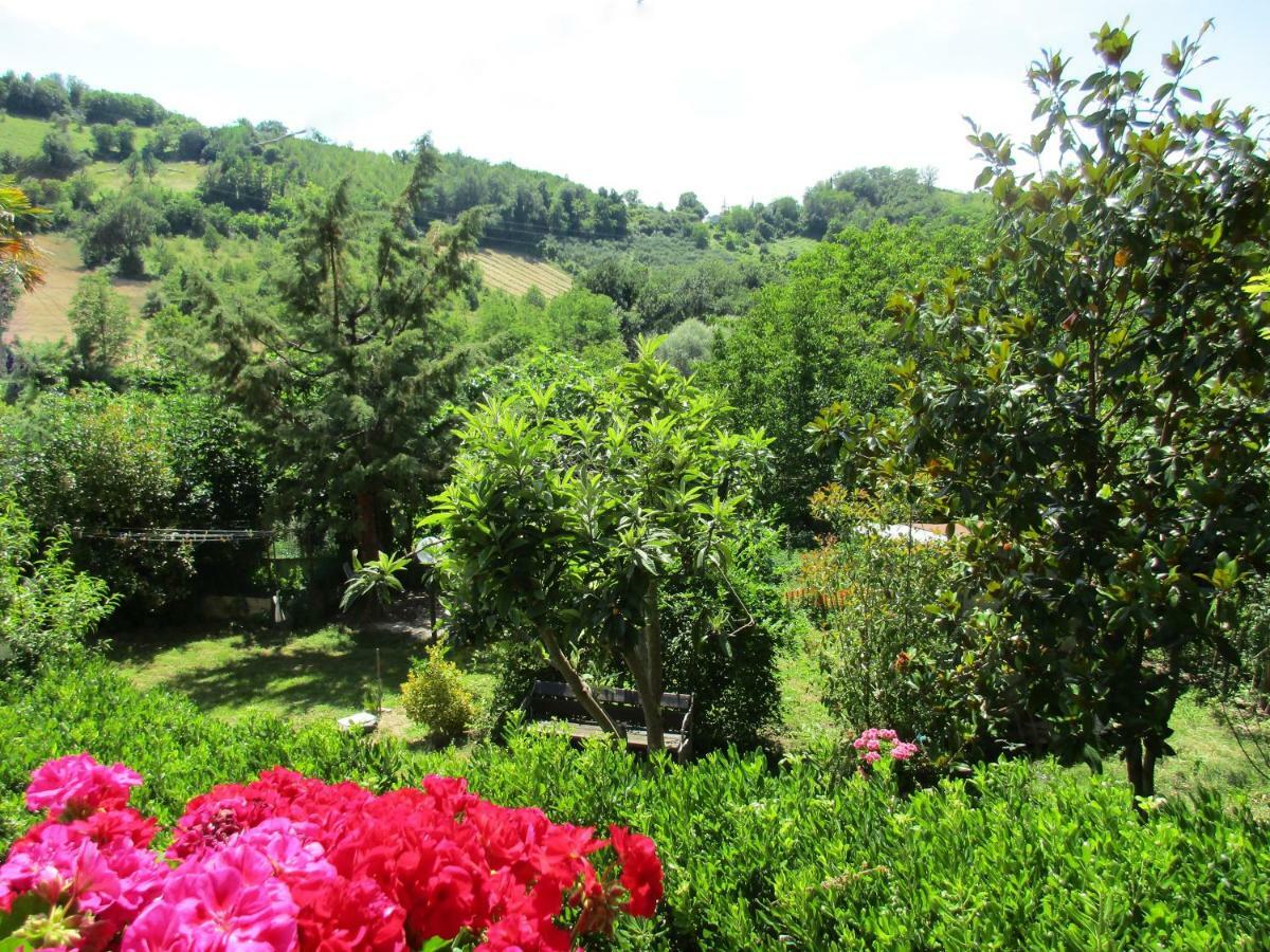 B&B Carboni Penna San Giovanni Exterior foto